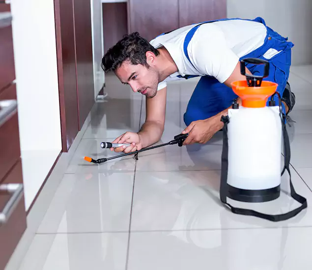 Advanced Slab Termite Treatment Experts You Can Trust&nbsp;in Grants Pass, OR