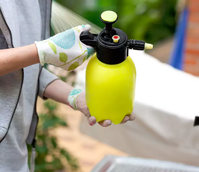 Skilled Residential Small Black Ant Service in Grants Pass, OR