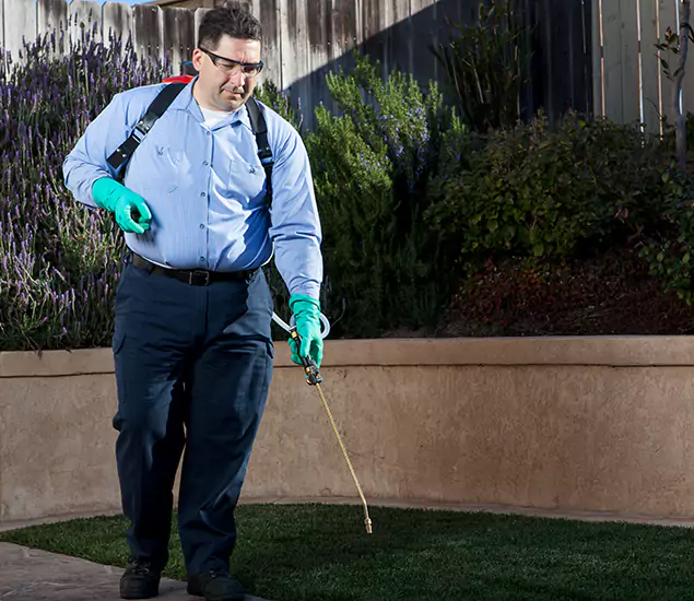 Reliable Termite Barrier Treatment Experts in Grants Pass, OR
