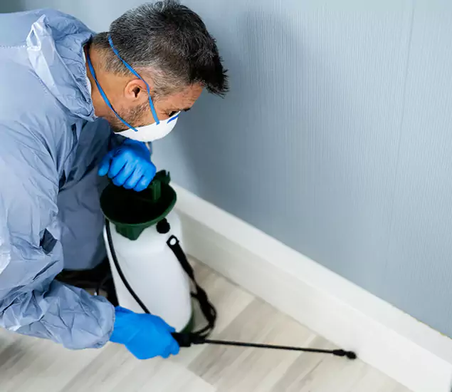 Reliable Termite Cost Experts in Grants Pass, OR