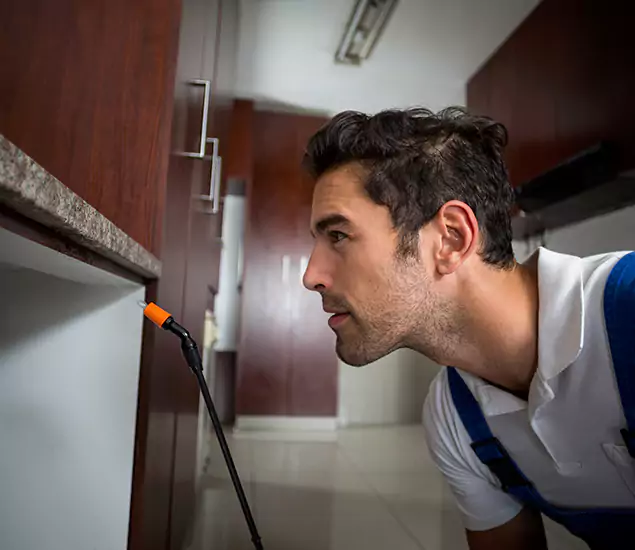 Termite Inspection Cost Experts You Can Trust in Grants Pass, OR