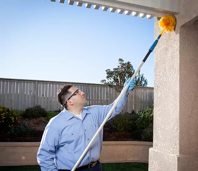 Your Trusted Wasp Removal Company in Grants Pass, OR
