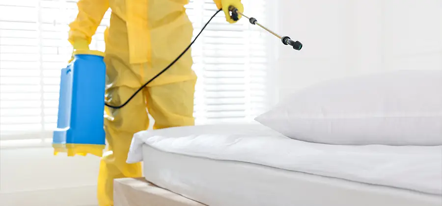 Targeted Chemical Application in Grants Pass