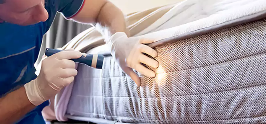 Residential Bed Bug Treatment Cost in Grants Pass