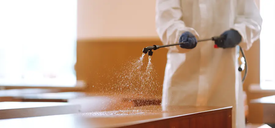 Residential Bed Bug Treatment Option in Grants Pass