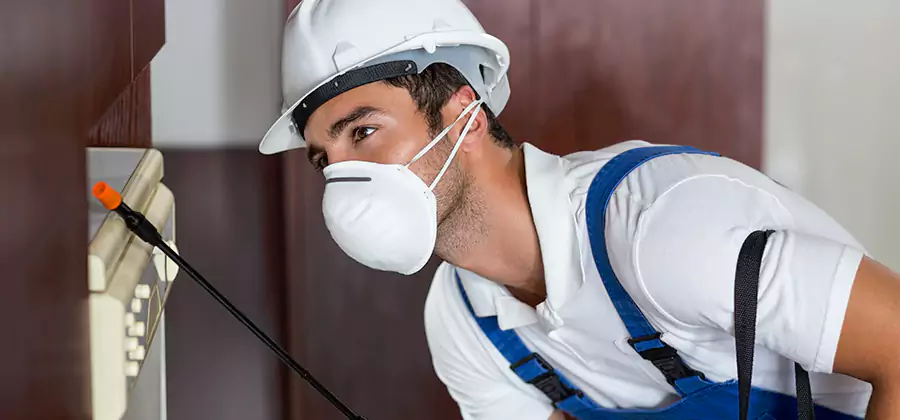 Injection Foam Treatment for Drywood Termites in Grants Pass