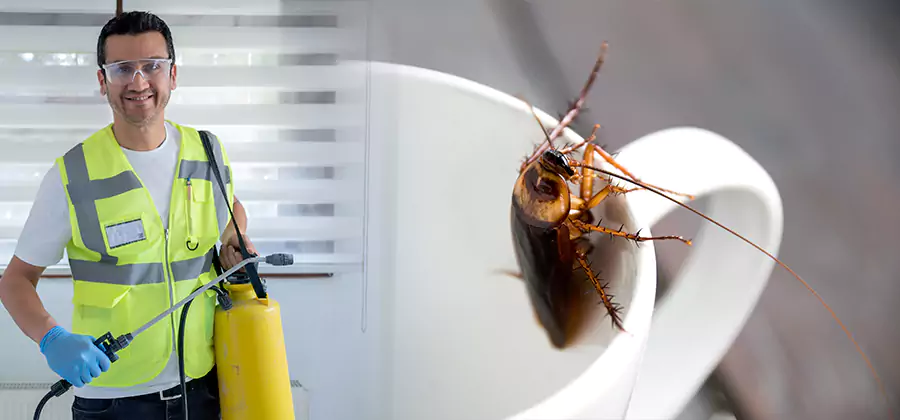 German Roach Infestation Treatment Grants Pass