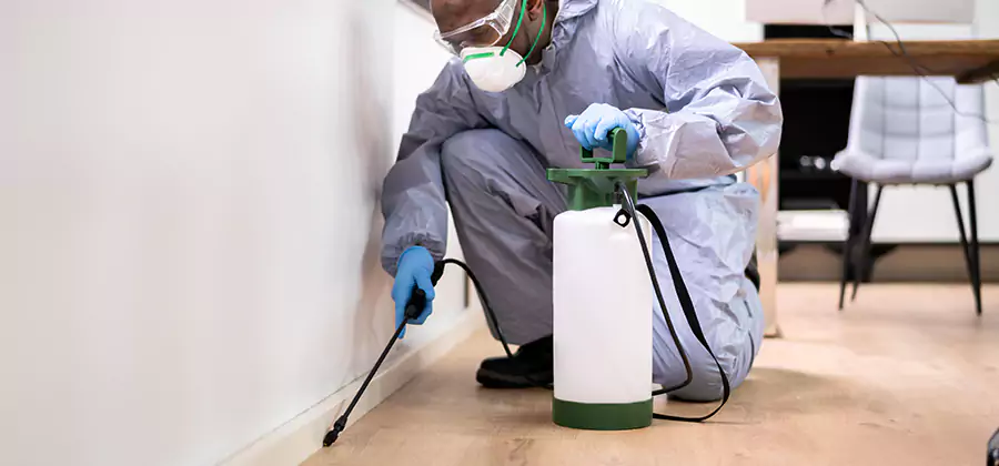 Long Lasting Mosquito Treatment in Grants Pass