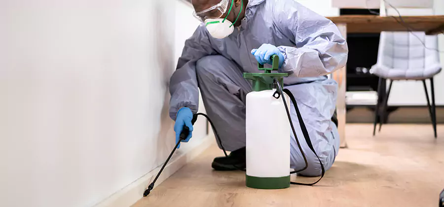 No Tent Termite Extermination With Electric Tool in Grants Pass