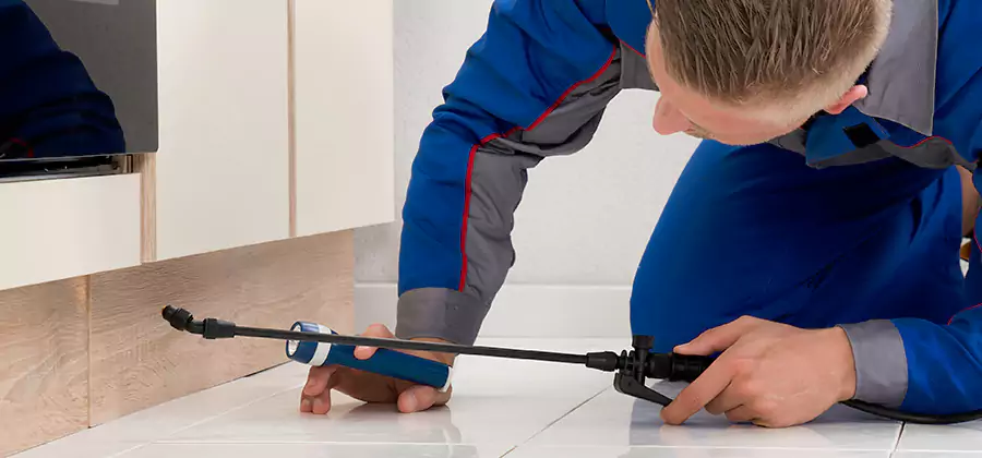 Moisture Treatment For Termite Control Service in Grants Pass