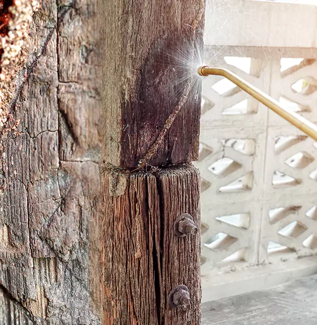 Why Choose Grants Pass Pest Control Pro for Attic Termite Treatment in Grants Pass, OR?