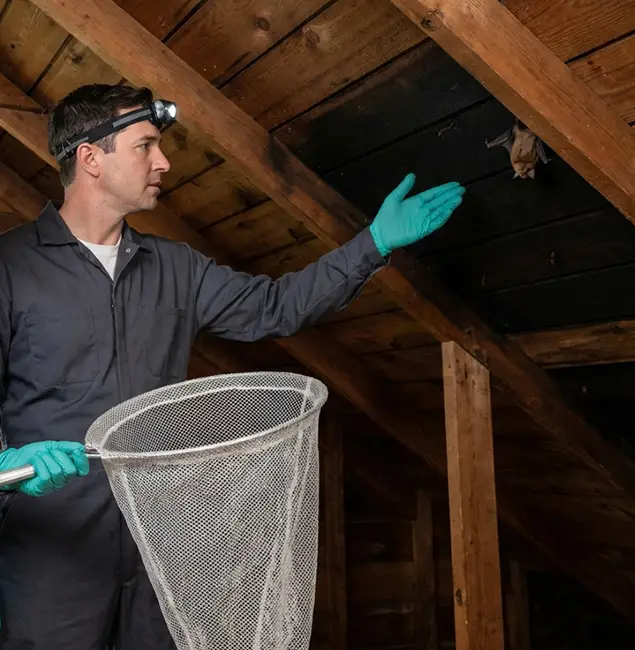Why Grants Pass Pest Control Pro Is the Right Choice in Grants Pass, OR?