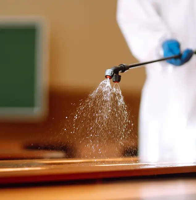 Why Choose Grants Pass Pest Control Pro for Bed Bug Chemical Treatment in Grants Pass, OR?