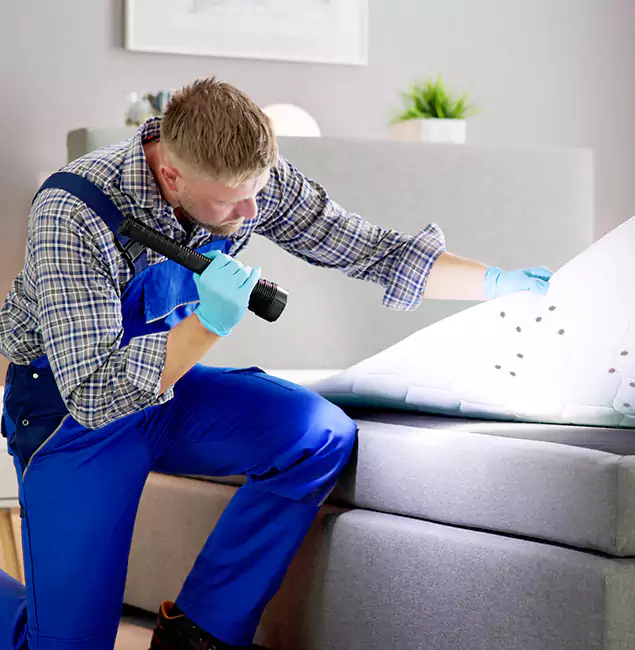 Why Choose Grants Pass Pest Control Pro for Bed Bug Exterminator Cost in Grants Pass, OR?