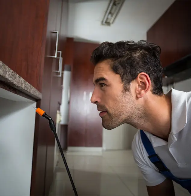 Why Choose Grants Pass Pest Control Pro for Bed Bug Removal Cost in Grants Pass, OR?