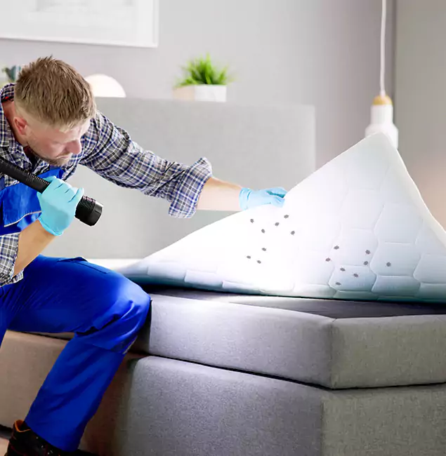 Why Choose Grants Pass Pest Control Pro in Grants Pass, OR?