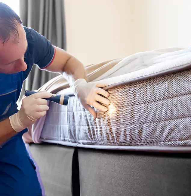 Why Choose Grants Pass Pest Control Pro for Bed Bug Services in Grants Pass, OR?
