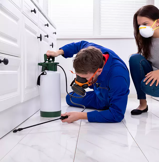 Why Choose Grants Pass Pest Control Pro in Grants Pass, OR?