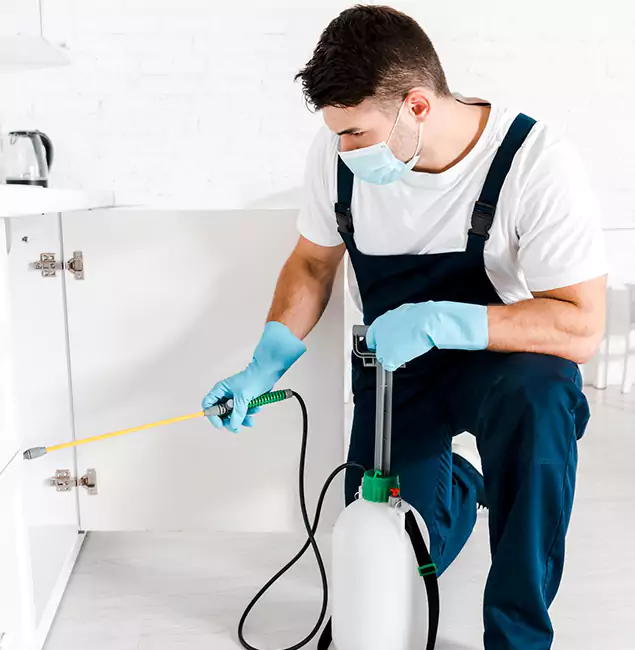 Why Choose Grants Pass Pest Control Pro for Emergency Pest Control in Grants Pass?
