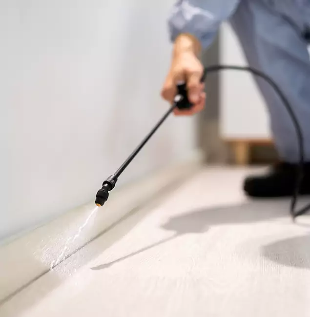 Why Choose Grants Pass Pest Control Pro for Termite Treatment in Grants Pass, OR?