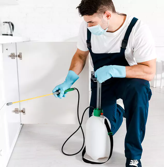 Why Grants Pass, OR Homeowners Trust Us for German Roach Control?