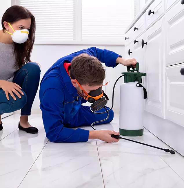 Why Grants Pass, OR Homeowners Trust Grants Pass Pest Control Pro for Roach Control?