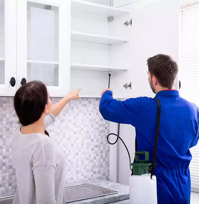 Why Grants Pass Property Owners Choose Grants Pass Pest Control Pro for Ground Bee Removal?