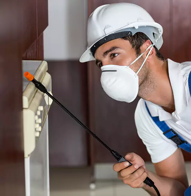 Why Grants Pass Homeowners Rely on Grants Pass Pest Control Pro for Tick Treatment?