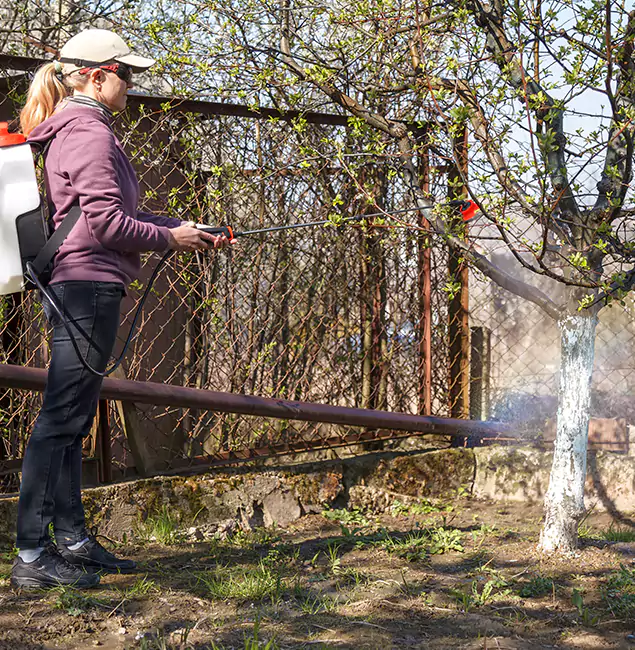 Why Grants Pass Homeowners Choose Grants Pass Pest Control Pro for Mosquito Abatement?