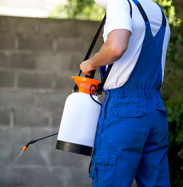Why Grants Pass Homeowners Rely on Grants Pass Pest Control Pro for Mosquito Control?