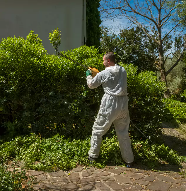 Why Grants Pass Pest Control Pro Leads Mosquito Control in Grants Pass, OR?