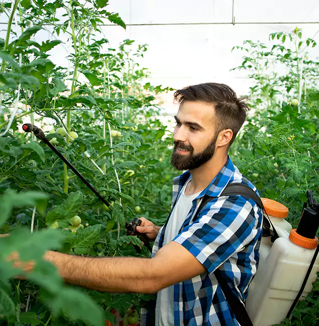 Why Grants Pass Homeowners Choose Grants Pass Pest Control Pro for Mosquito Spraying?