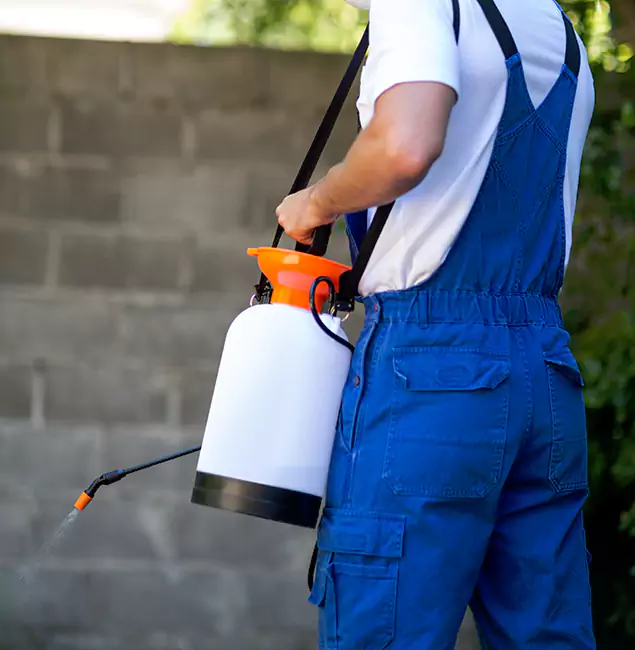Why Grants Pass Pest Control Pro Delivers the Best Mosquito Control in Grants Pass, OR?