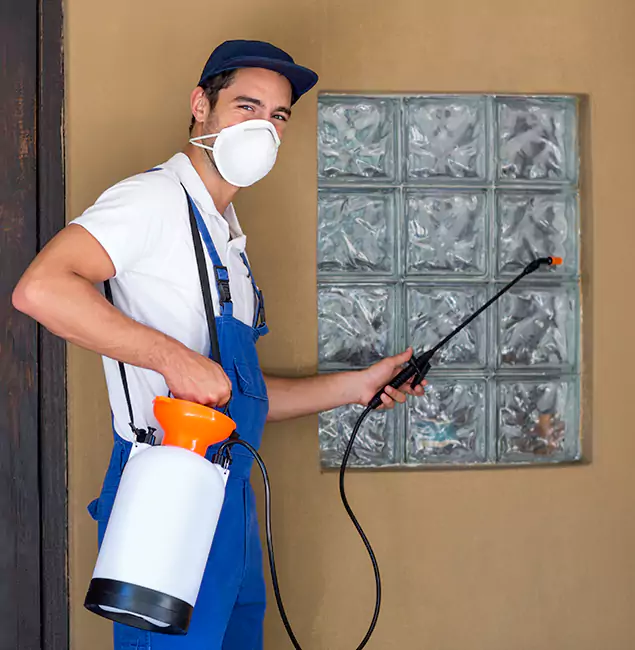Why Grants Pass Pest Control Pro Provides the Best Mosquito Control for Yard Properties in Grants Pass, OR?