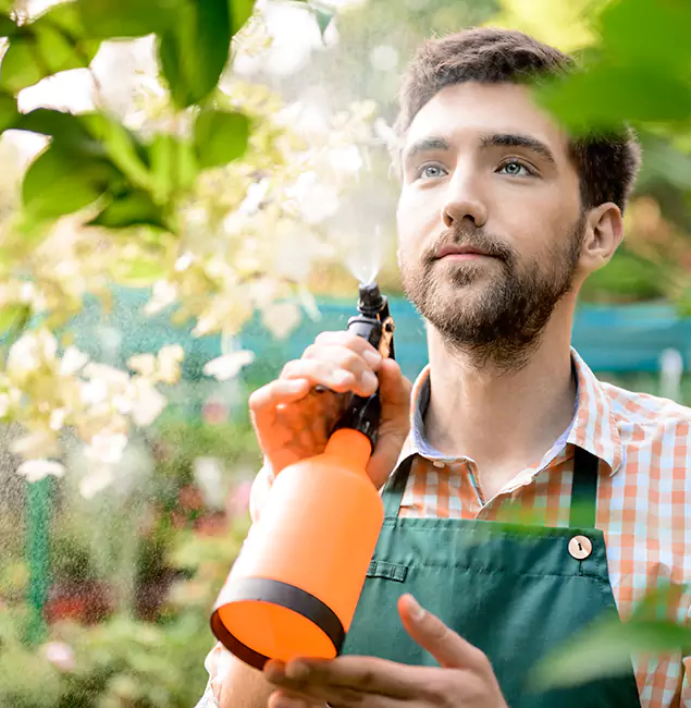 Why Grants Pass Homeowners Call Grants Pass Pest Control Pro for Mosquitoes in House?