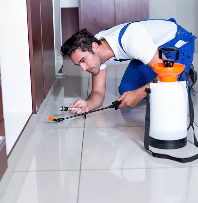 Why Grants Pass Pest Control Pro Is the Proven Choice in Grants Pass, OR?