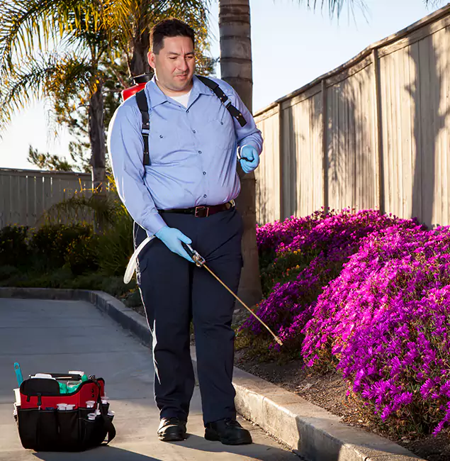 Why Choose Grants Pass Pest Control Pro in Grants Pass, OR?