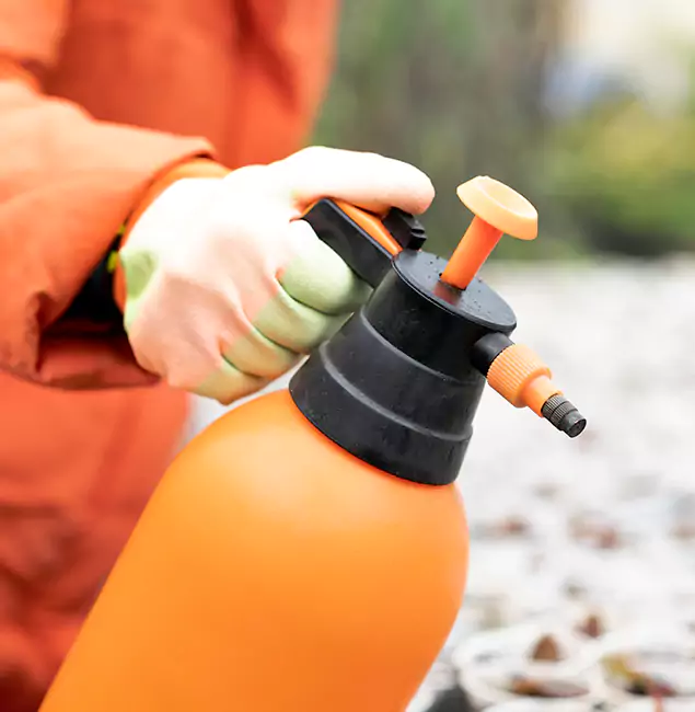 Why Choose Grants Pass Pest Control Pro for Orange Termite Treatment in Grants Pass, OR?