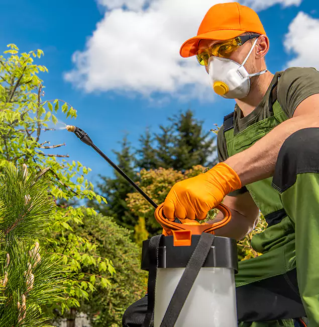 Why Choose Grants Pass Pest Control Pro for Outdoor Pest Control in Grants Pass, OR?