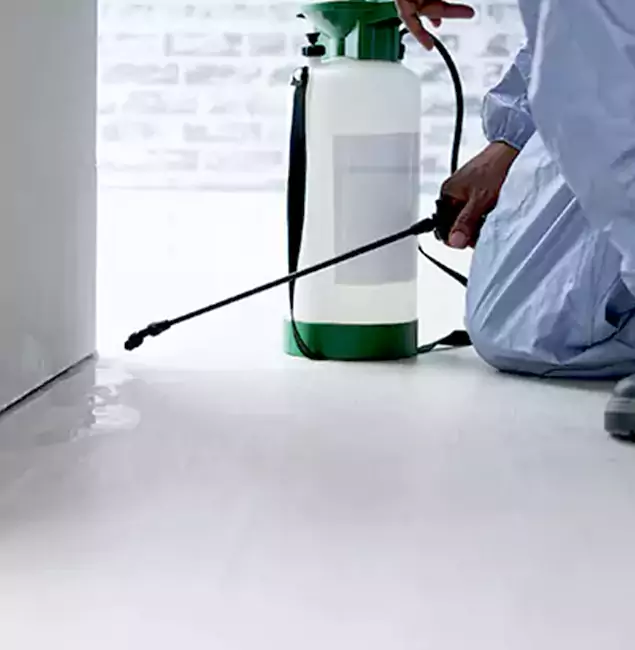 Why Choose Grants Pass Pest Control Pro for Rat Exterminator in Grants Pass, OR?
