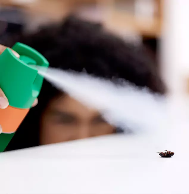 Why Grants Pass, OR Homeowners Choose Grants Pass Pest Control Pro for Roach Pest Control?