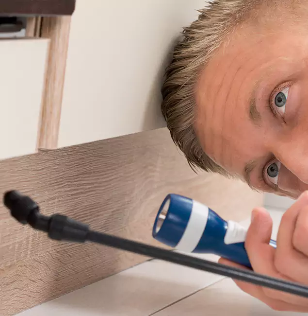 Why Choose Grants Pass Pest Control Pro for Rodent Exterminator in Grants Pass, OR?