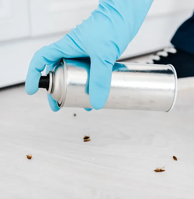 Why Choose Grants Pass Pest Control Pro for Safe Bed Bug Treatment in Grants Pass, OR?