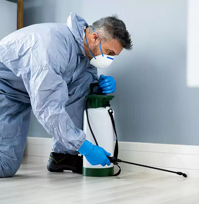 Why Choose Grants Pass Pest Control Pro for Subterranean Termites Treatment in Grants Pass, OR?