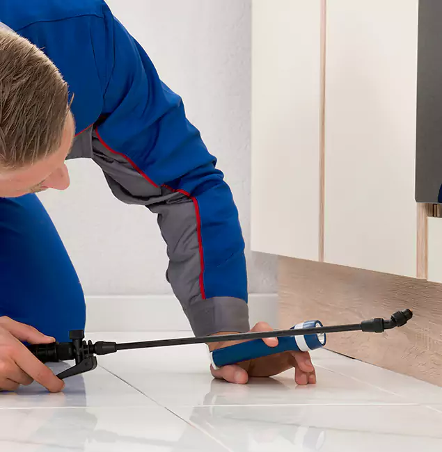 Why Grants Pass Residents Choose Grants Pass Pest Control Pro to Get Rid of Sugar Ants?