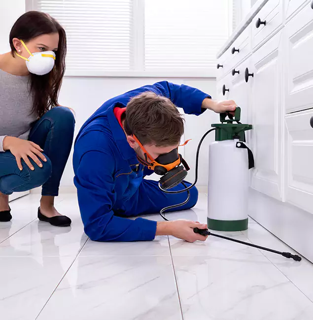 Why Choose Grants Pass Pest Control Pro for Termite Inspection Cost in Grants Pass, OR?