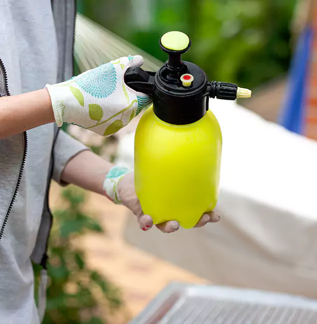 Why Choose Us: Grants Pass Pest Control Pro Termite Spraying Experts in Grants Pass, OR?
