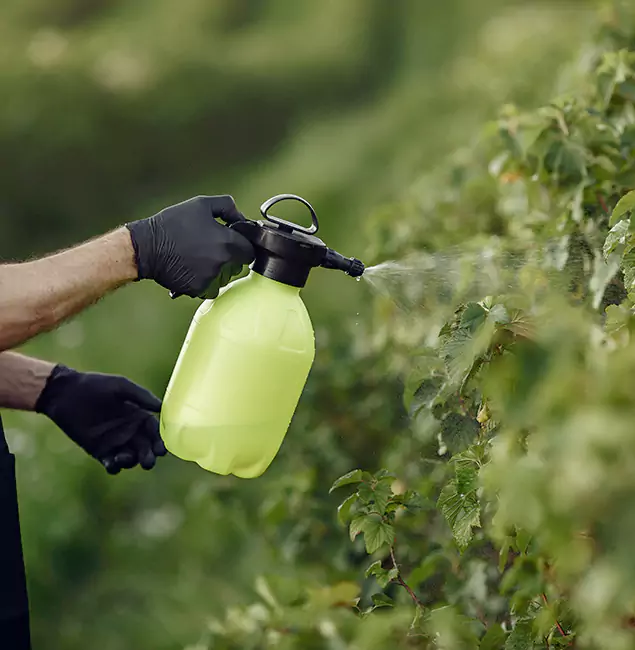 Why Grants Pass Homeowners Choose Grants Pass Pest Control Pro for Yard Tick Treatment?