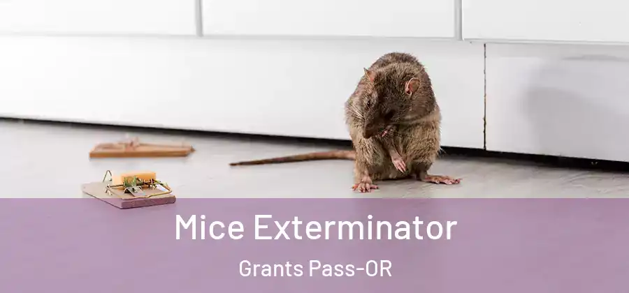  Mice Exterminator Grants Pass-OR