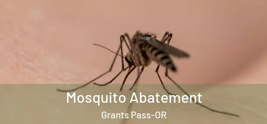  Mosquito Abatement Grants Pass-OR